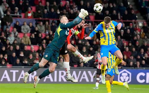 Alpha and Bet: Guide for Homeowners